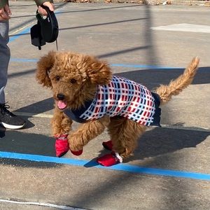 Meet your Posher, Stephen